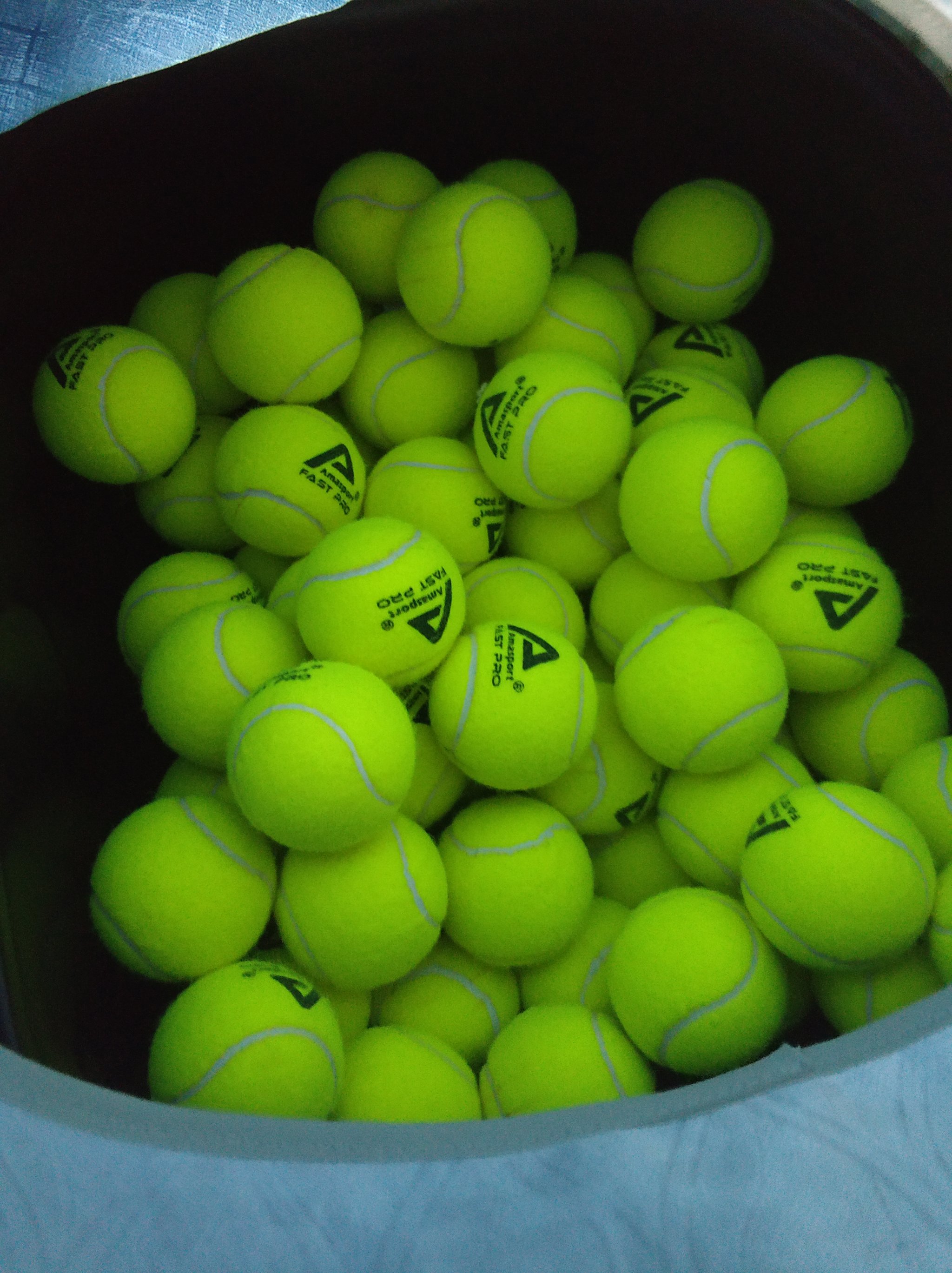 的标语被悬 的标语被悬