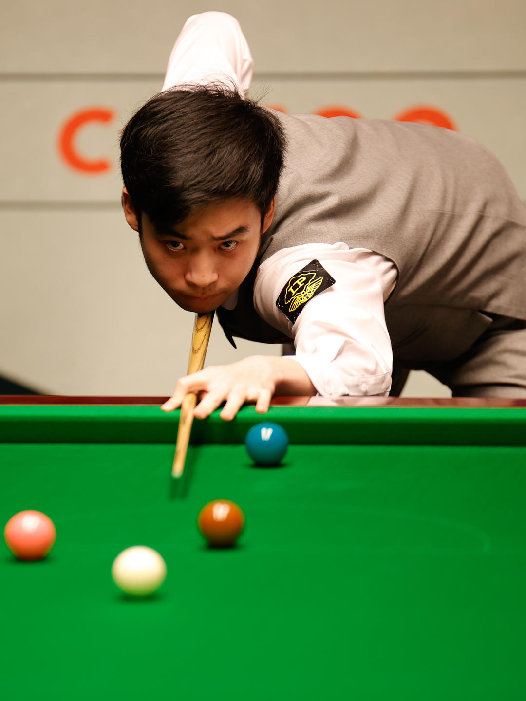 福利亚的比 福利亚的比